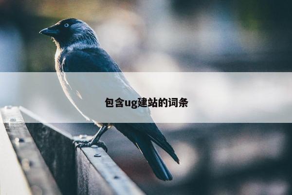 包含ug建站的词条