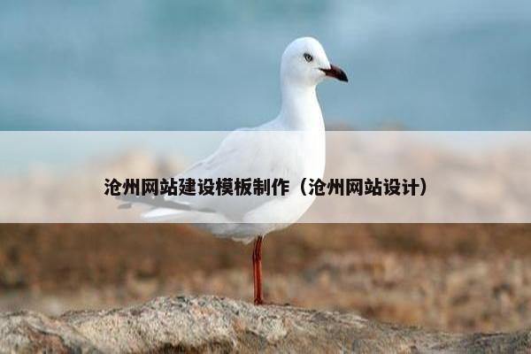 沧州网站建设模板制作（沧州网站设计）