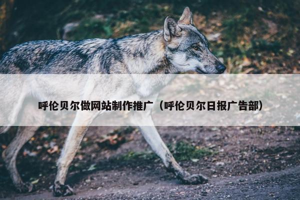 呼伦贝尔做网站制作推广（呼伦贝尔日报广告部）