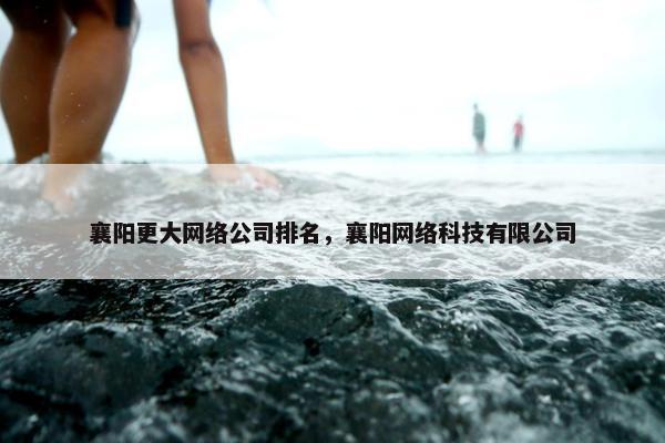 襄阳更大网络公司排名，襄阳网络科技有限公司
