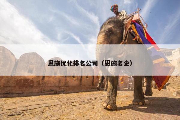 恩施优化排名公司（恩施名企）