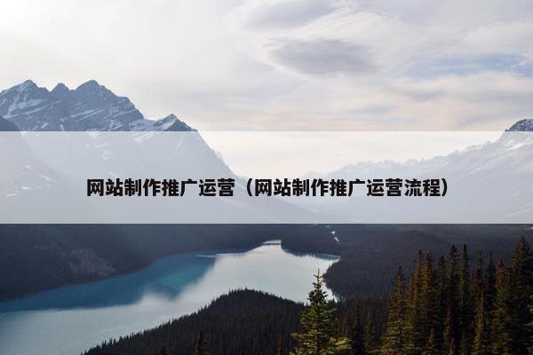 网站制作推广运营（网站制作推广运营流程）