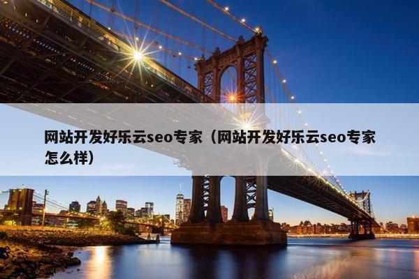 网站开发好乐云seo专家（网站开发好乐云seo专家怎么样）
