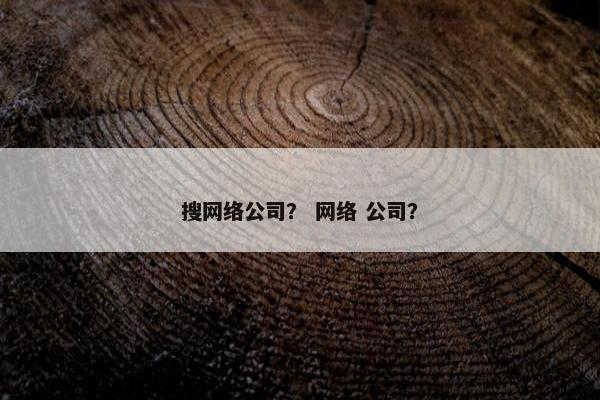 搜网络公司？ 网络 公司？