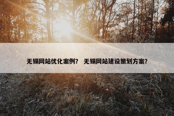 无锡网站优化案例？ 无锡网站建设策划方案？