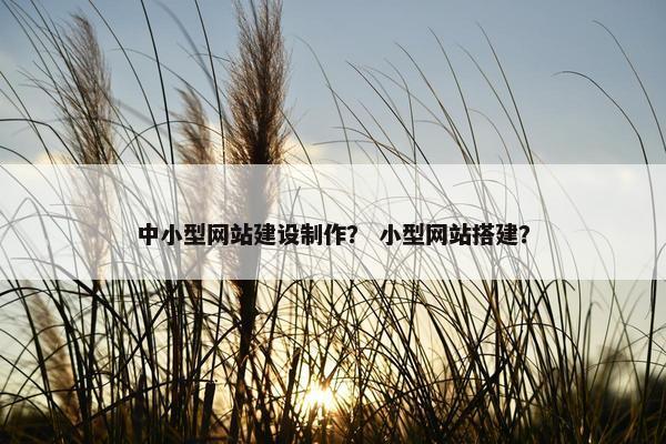 中小型网站建设制作？ 小型网站搭建？