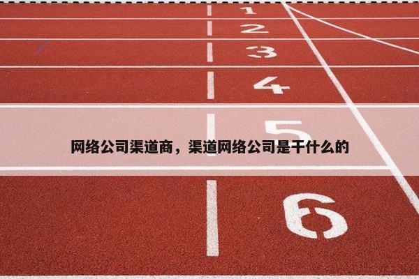 网络公司渠道商，渠道网络公司是干什么的