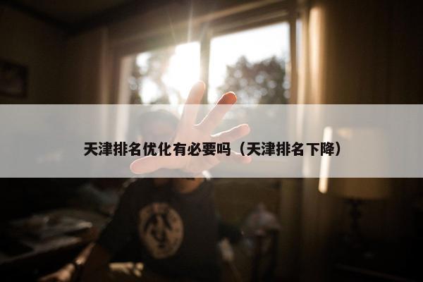 天津排名优化有必要吗（天津排名下降）