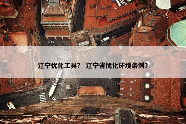 辽宁优化工具？ 辽宁省优化环境条例？