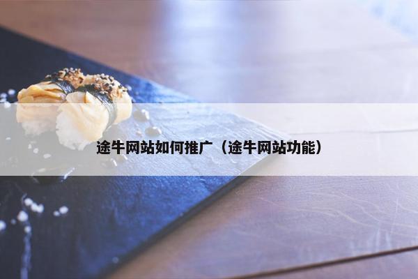 途牛网站如何推广（途牛网站功能）