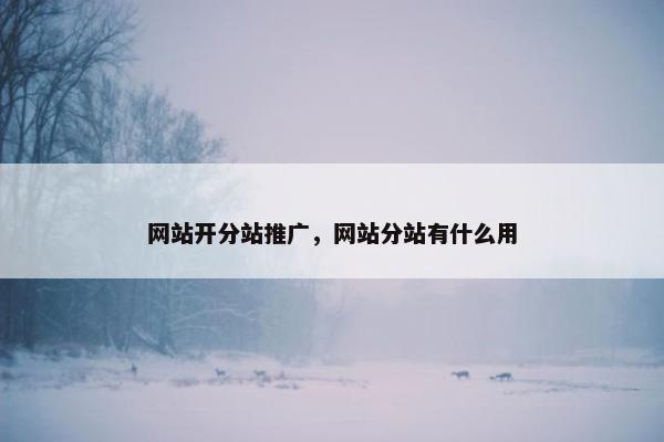 网站开分站推广，网站分站有什么用