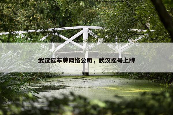 武汉摇车牌网络公司，武汉摇号上牌