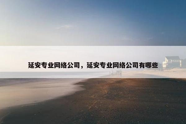 延安专业网络公司，延安专业网络公司有哪些