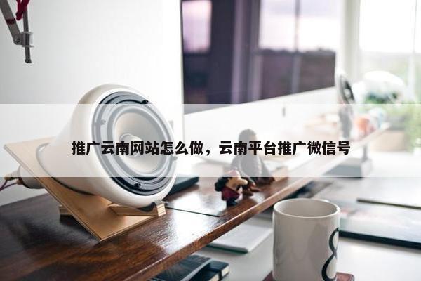 推广云南网站怎么做，云南平台推广微信号
