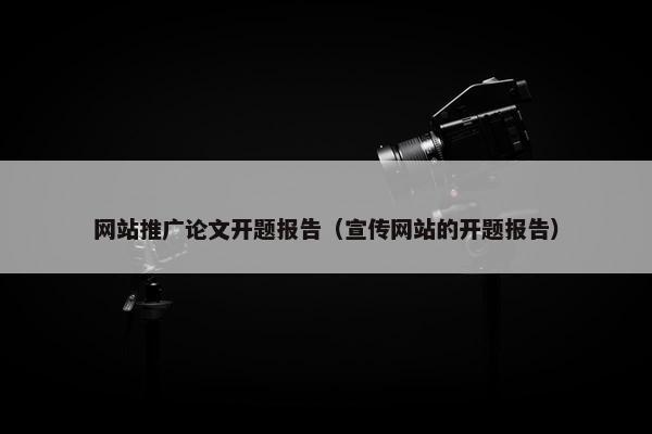 网站推广论文开题报告（宣传网站的开题报告）