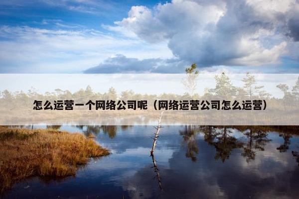 怎么运营一个网络公司呢（网络运营公司怎么运营）