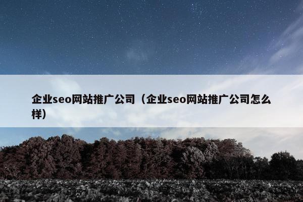 企业seo网站推广公司（企业seo网站推广公司怎么样）
