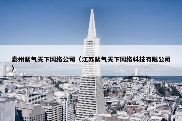 泰州紫气天下网络公司（江苏紫气天下网络科技有限公司）