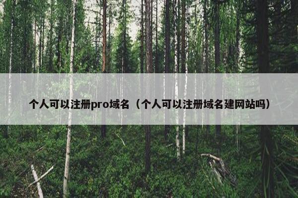 个人可以注册pro域名（个人可以注册域名建网站吗）