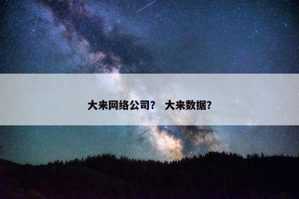 大来网络公司？ 大来数据？