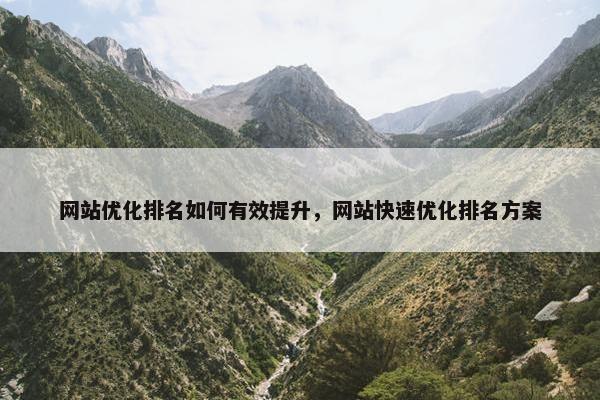 网站优化排名如何有效提升，网站快速优化排名方案