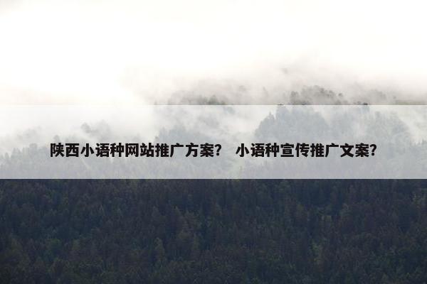 陕西小语种网站推广方案？ 小语种宣传推广文案？