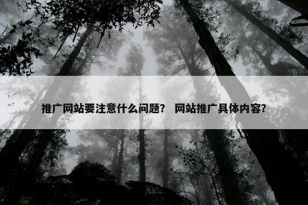 推广网站要注意什么问题？ 网站推广具体内容？