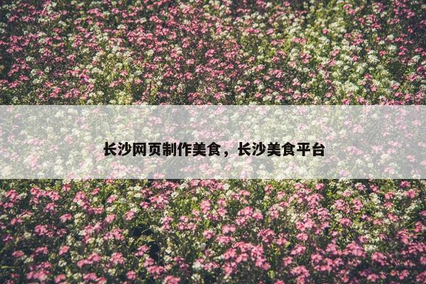长沙网页制作美食，长沙美食平台