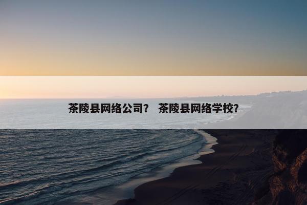 茶陵县网络公司？ 茶陵县网络学校？