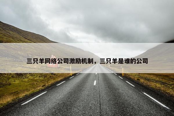 三只羊网络公司激励机制，三只羊是谁的公司
