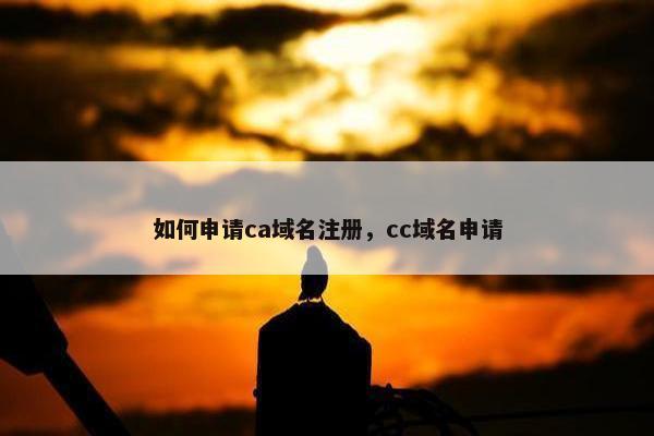 如何申请ca域名注册，cc域名申请