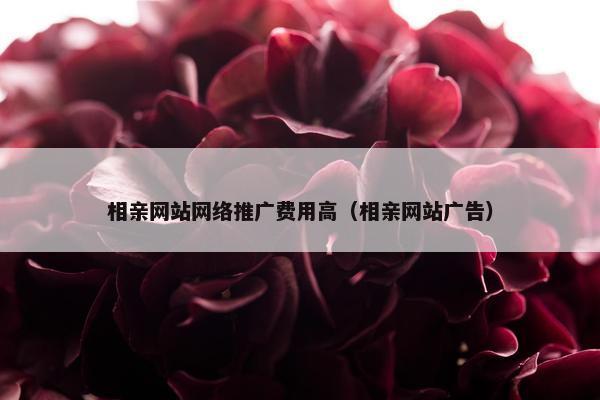 相亲网站网络推广费用高（相亲网站广告）