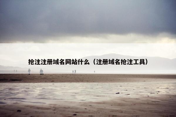 抢注注册域名网站什么（注册域名抢注工具）