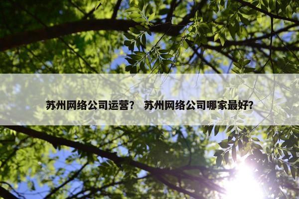 苏州网络公司运营？ 苏州网络公司哪家最好？
