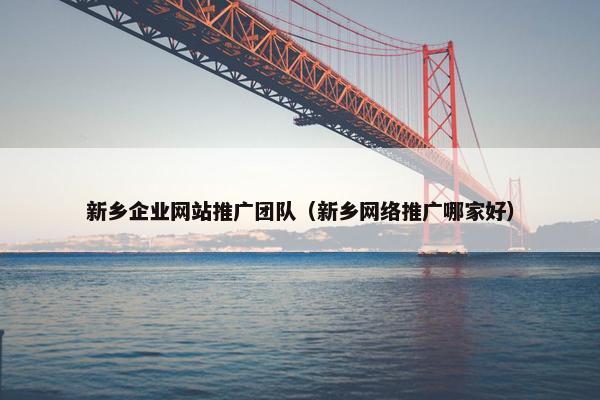 新乡企业网站推广团队（新乡网络推广哪家好）