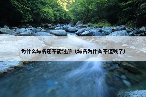 为什么域名还不能注册（域名为什么不值钱了）