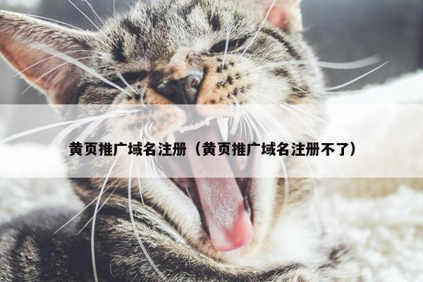 黄页推广域名注册（黄页推广域名注册不了）