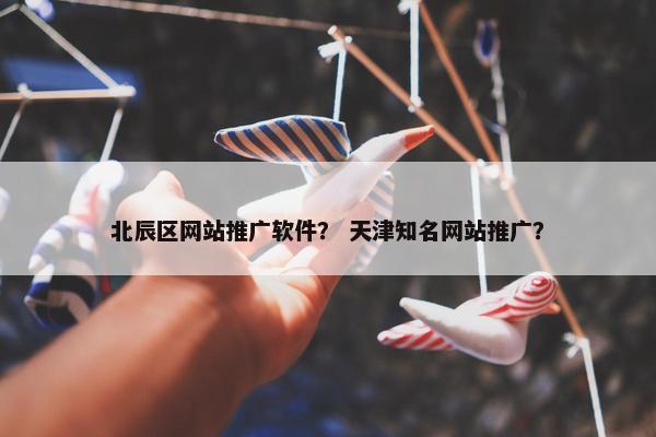 北辰区网站推广软件？ 天津知名网站推广？