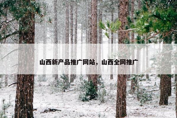 山西新产品推广网站，山西全网推广