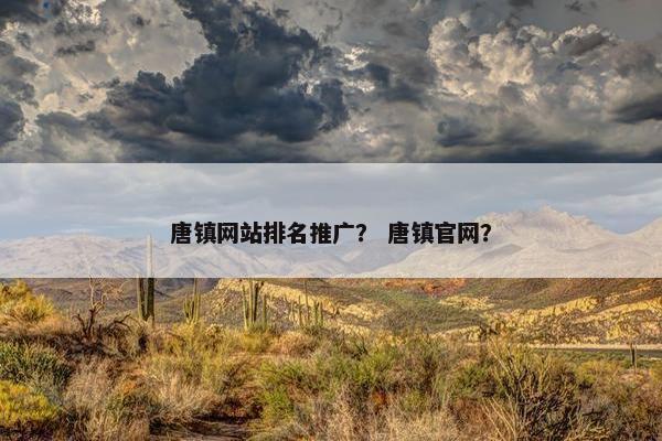 唐镇网站排名推广？ 唐镇官网？