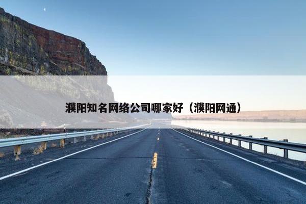 濮阳知名网络公司哪家好（濮阳网通）