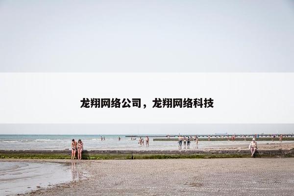 龙翔网络公司，龙翔网络科技