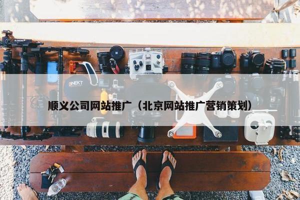 顺义公司网站推广（北京网站推广营销策划）
