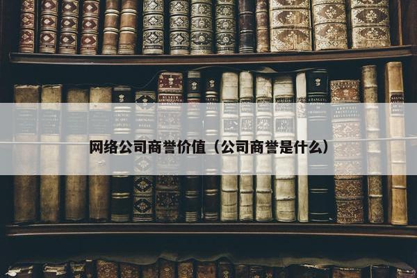 网络公司商誉价值（公司商誉是什么）