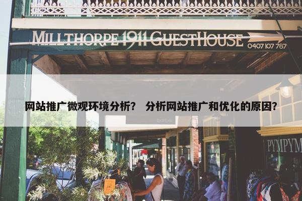 网站推广微观环境分析？ 分析网站推广和优化的原因？