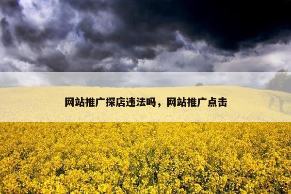 网站推广探店违法吗，网站推广点击