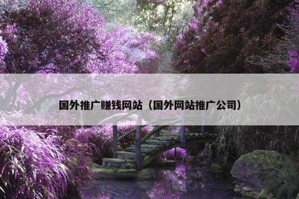 国外推广赚钱网站（国外网站推广公司）