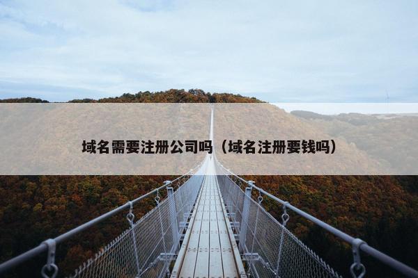 域名需要注册公司吗（域名注册要钱吗）
