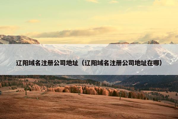 辽阳域名注册公司地址（辽阳域名注册公司地址在哪）