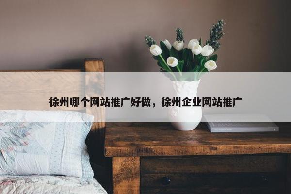 徐州哪个网站推广好做，徐州企业网站推广